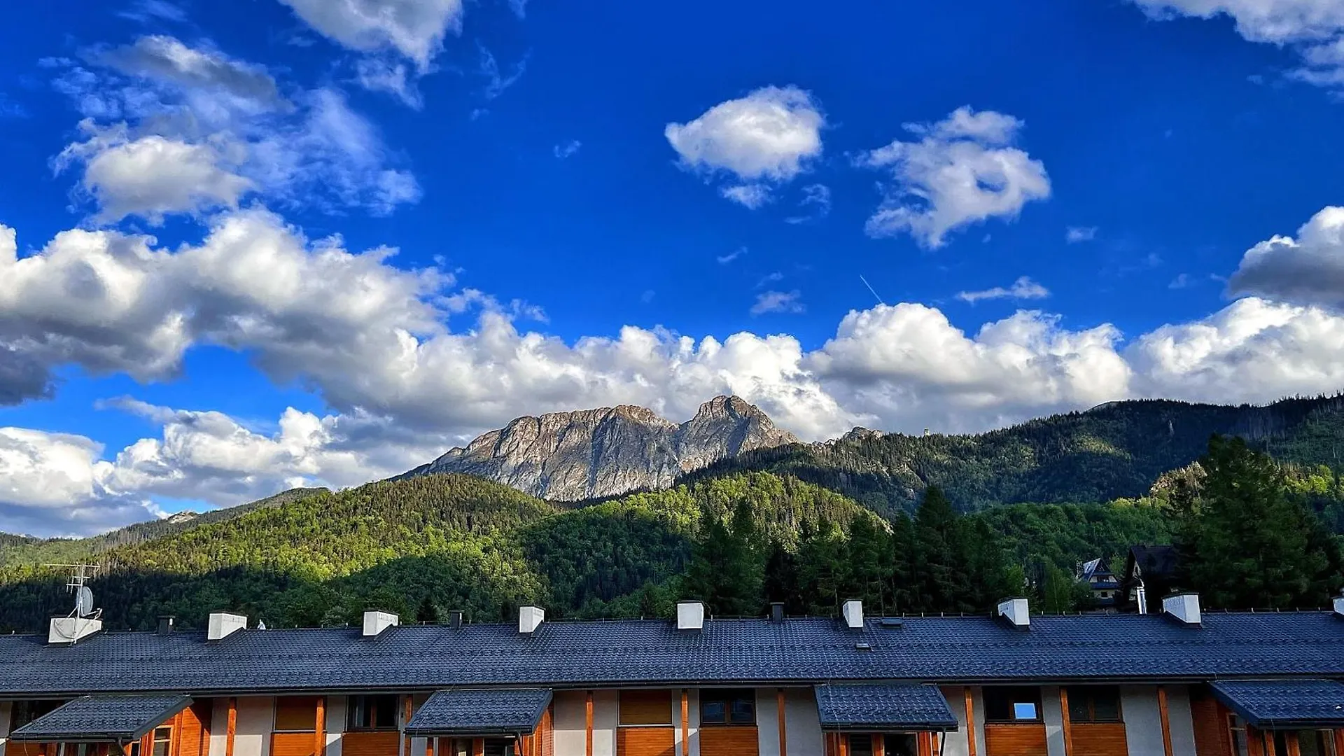 Apartament Turkusowy - Viva Pod Giewontem Apartamenty Zakopane
